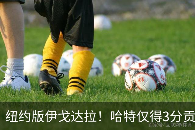 纽约版伊戈达拉！哈特仅得3分贡献值却拉满 终极粘合剂谁不爱他？